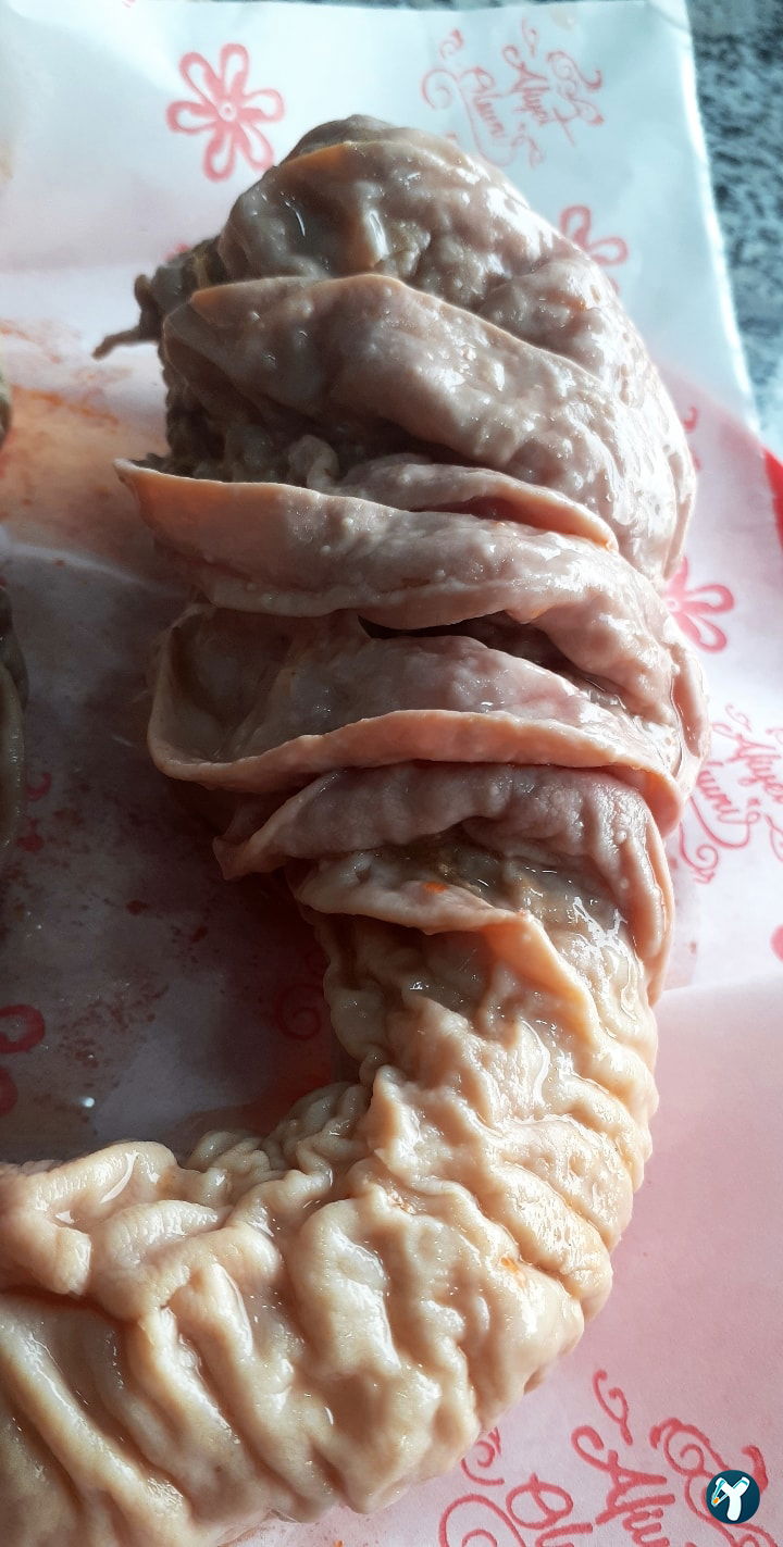 Şırdancı Cio