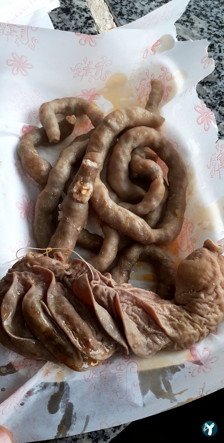 Şırdancı Cio