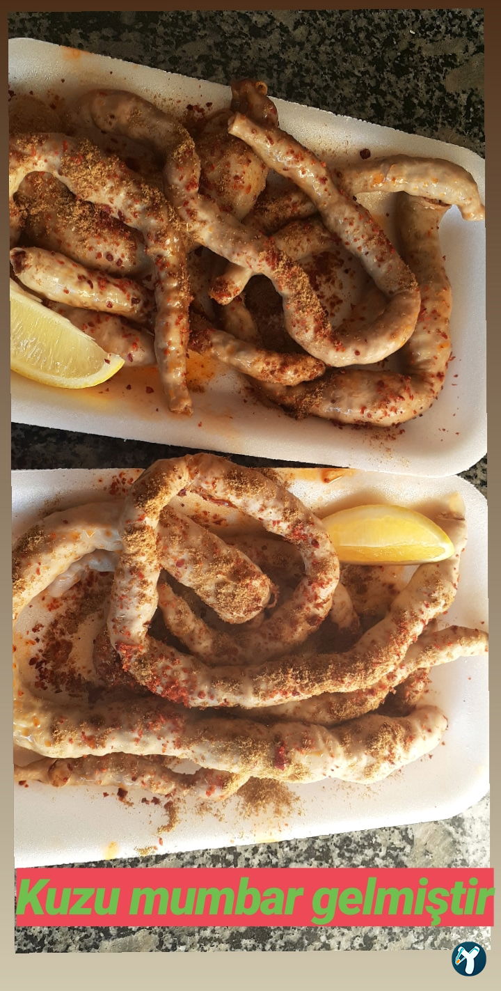Şırdancı Cio