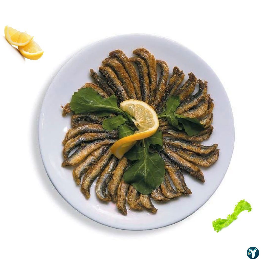 Selçuk Balıkçılık