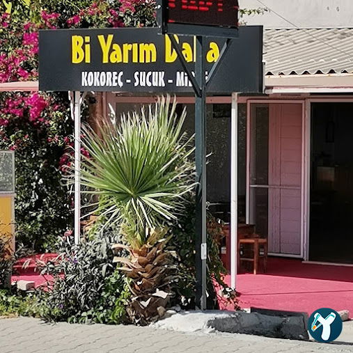 Bi Yarım Daha