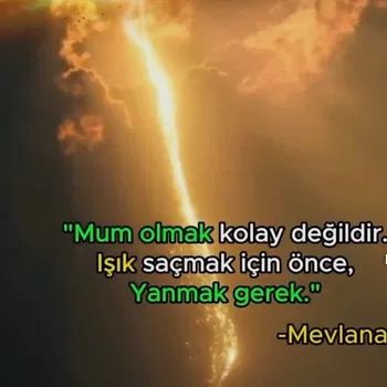 Memoli Büfe resimleri
