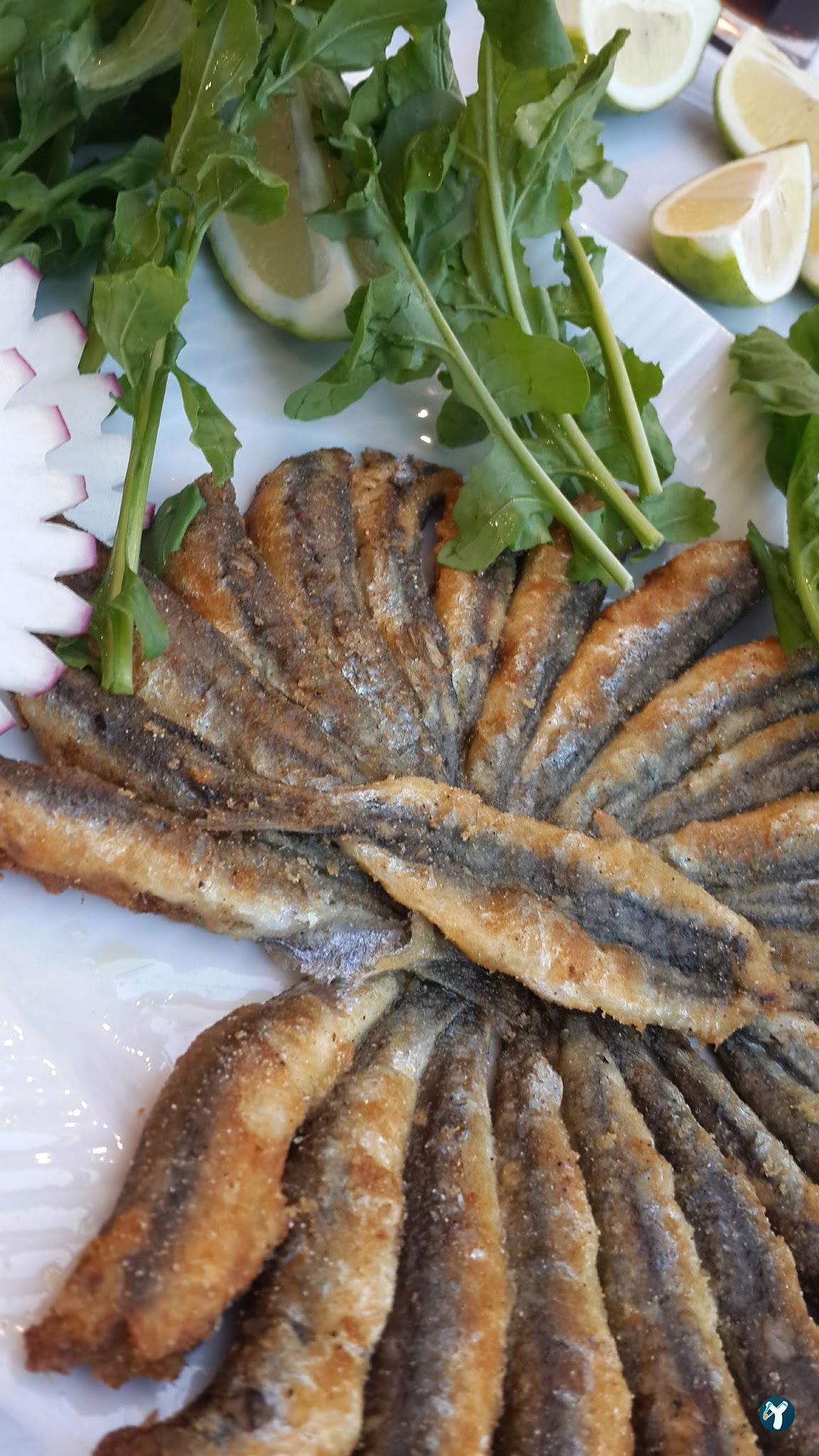 Menekşe Balık