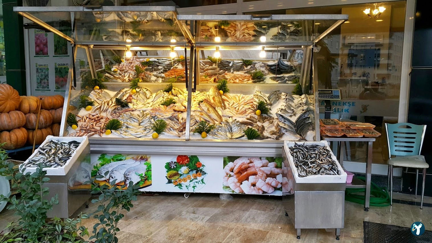 Menekşe Balık