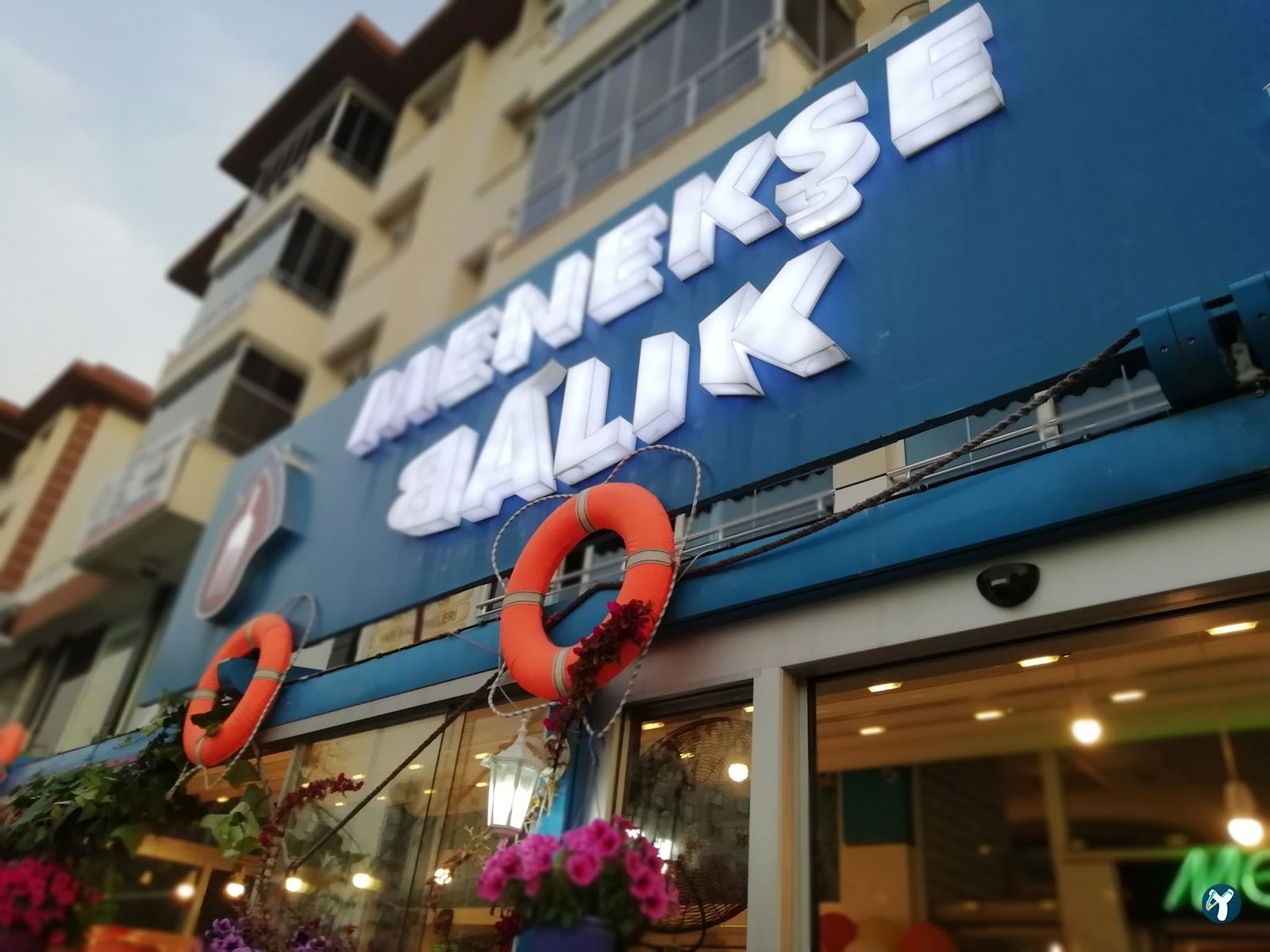 Menekşe Balık