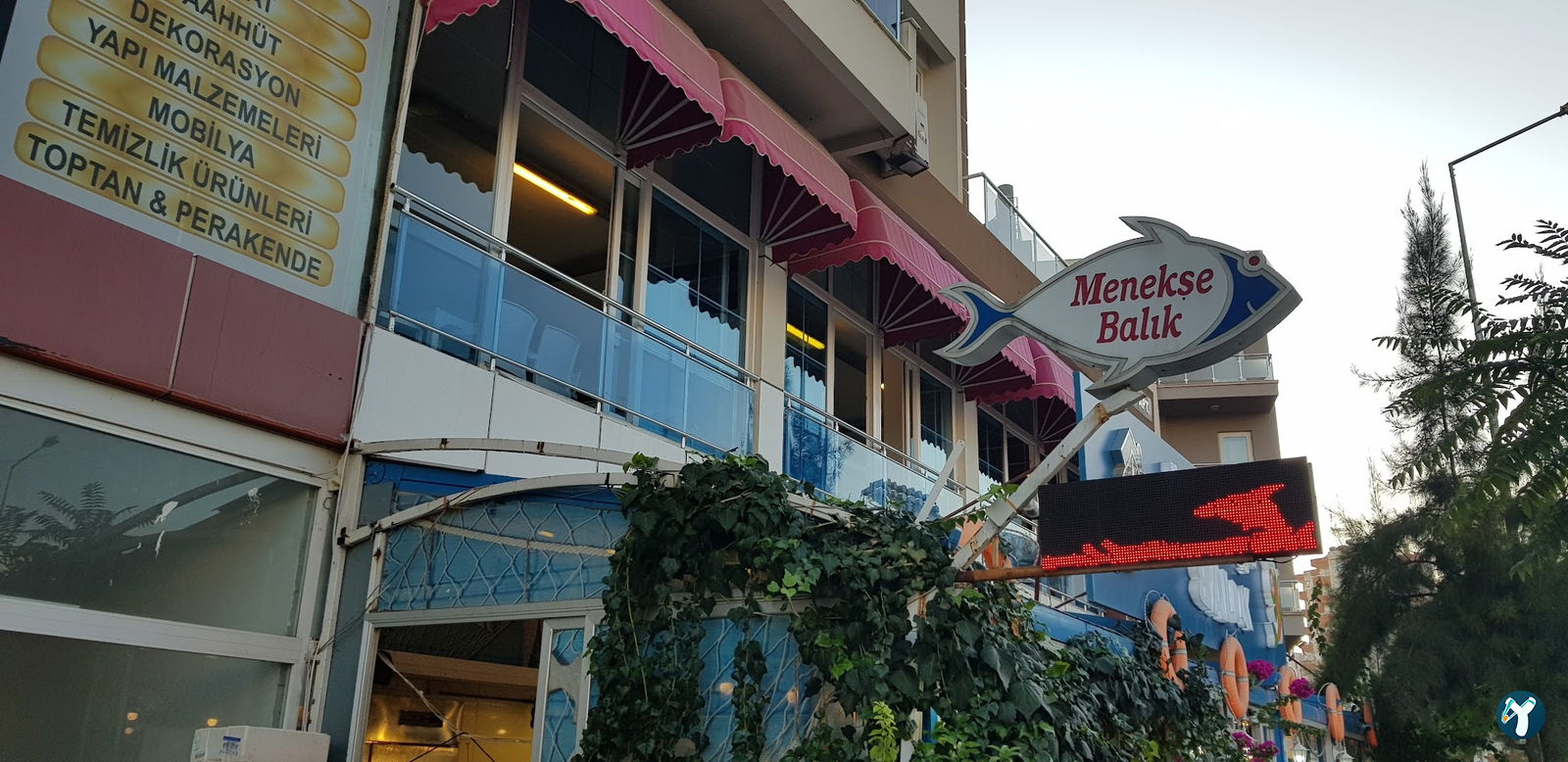 Menekşe Balık