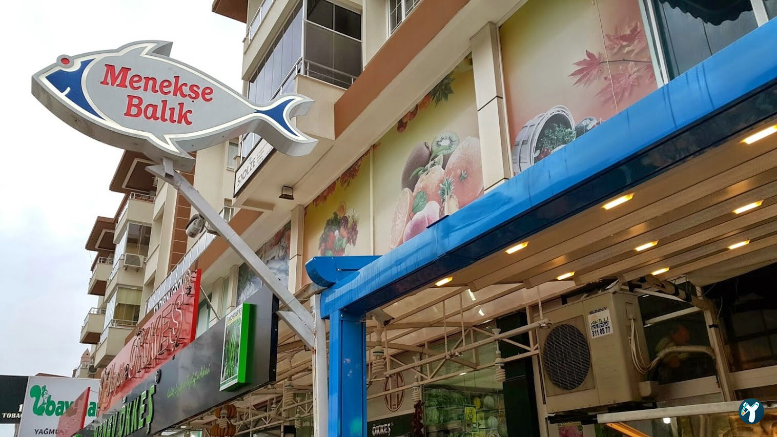 Menekşe Balık