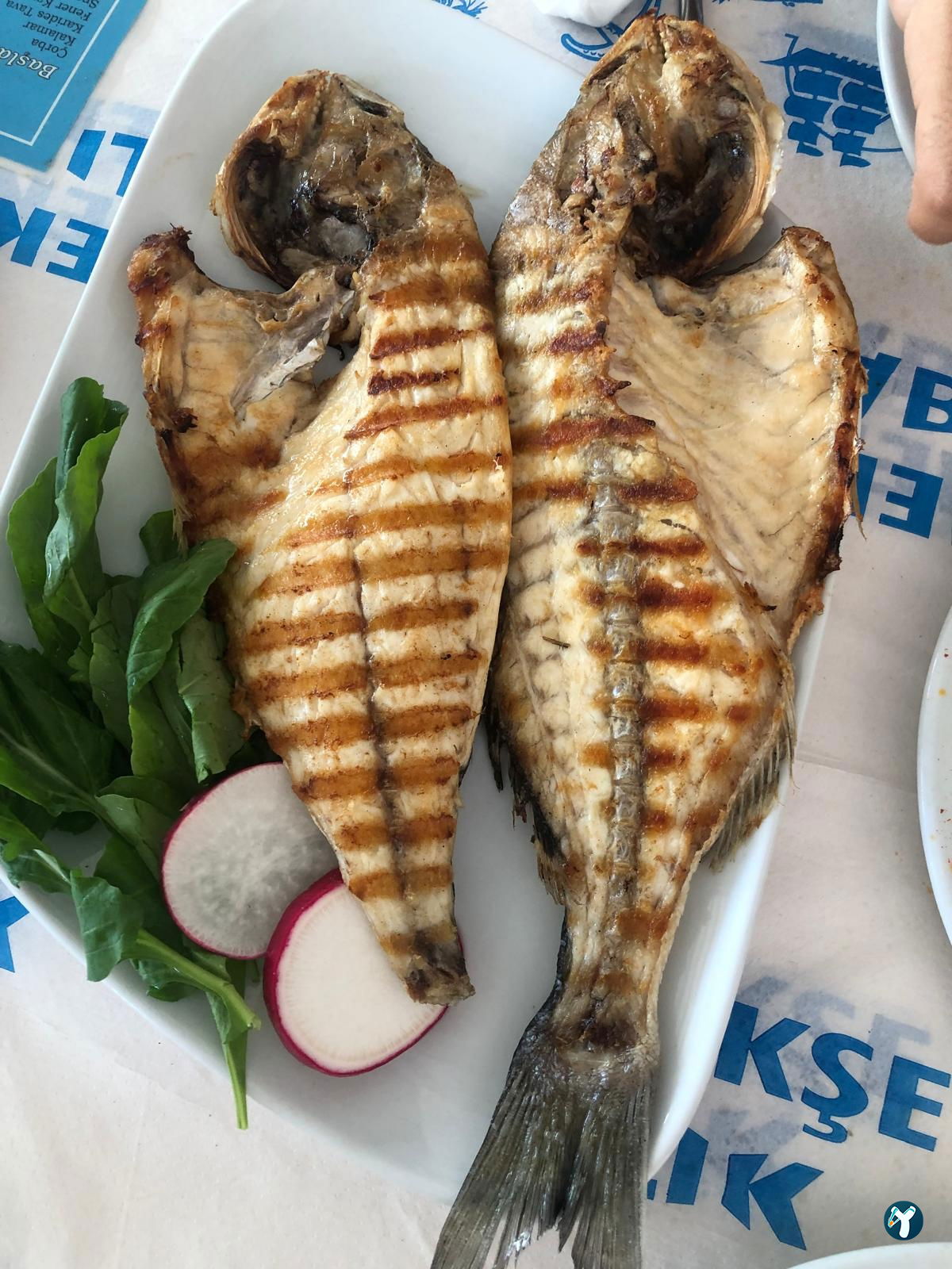 Menekşe Balık
