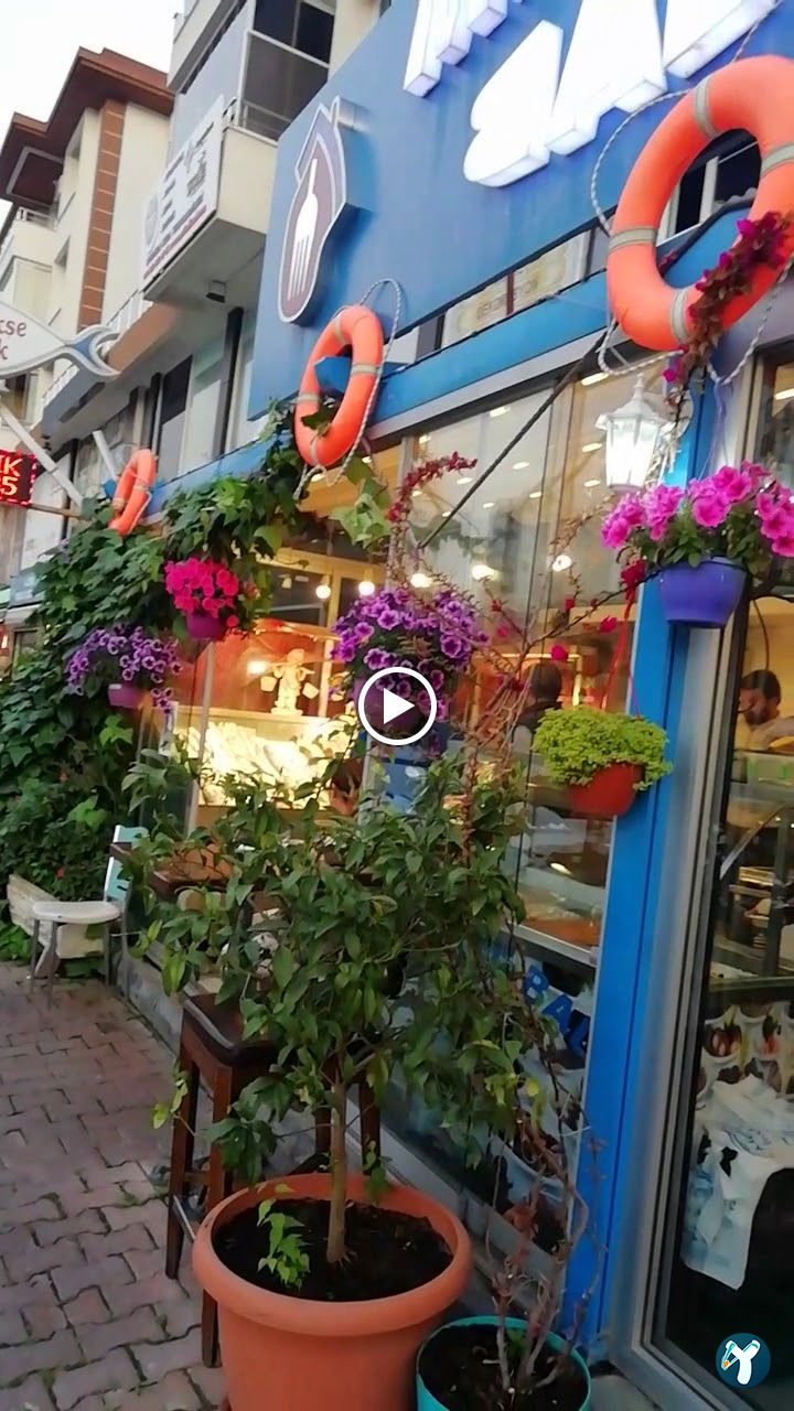 Menekşe Balık