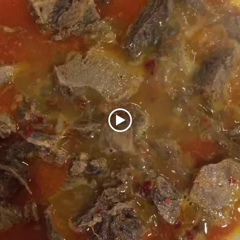 Doğa Sofrasi resimleri