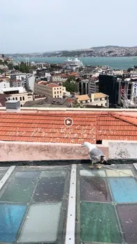 Galata Konak Cafe & Restaurant resimleri