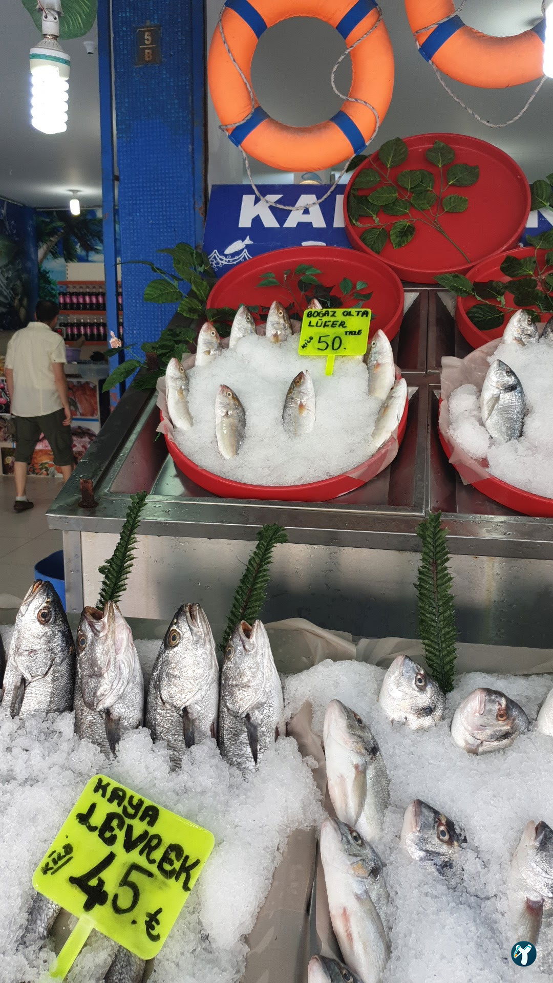 Atapark Ayabakan Balikçilik Ve Bali̇k Lokantasi̇