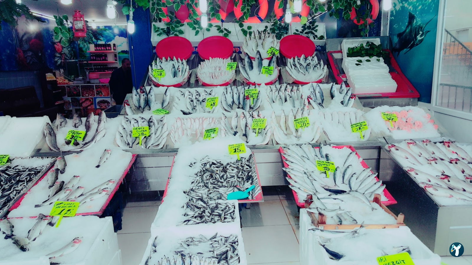 Atapark Ayabakan Balikçilik Ve Bali̇k Lokantasi̇