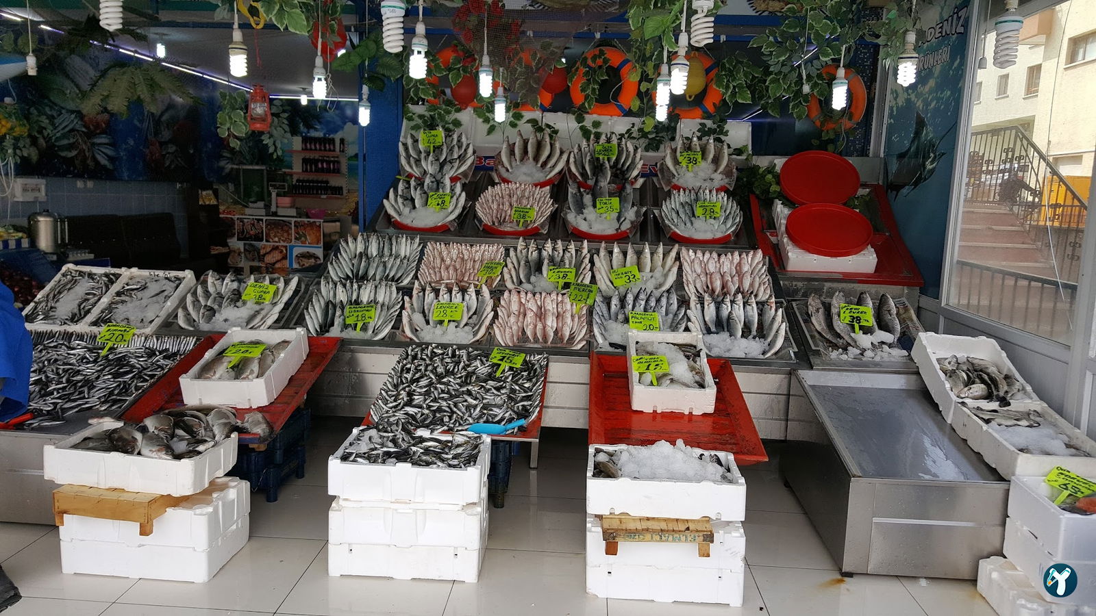 Atapark Ayabakan Balikçilik Ve Bali̇k Lokantasi̇