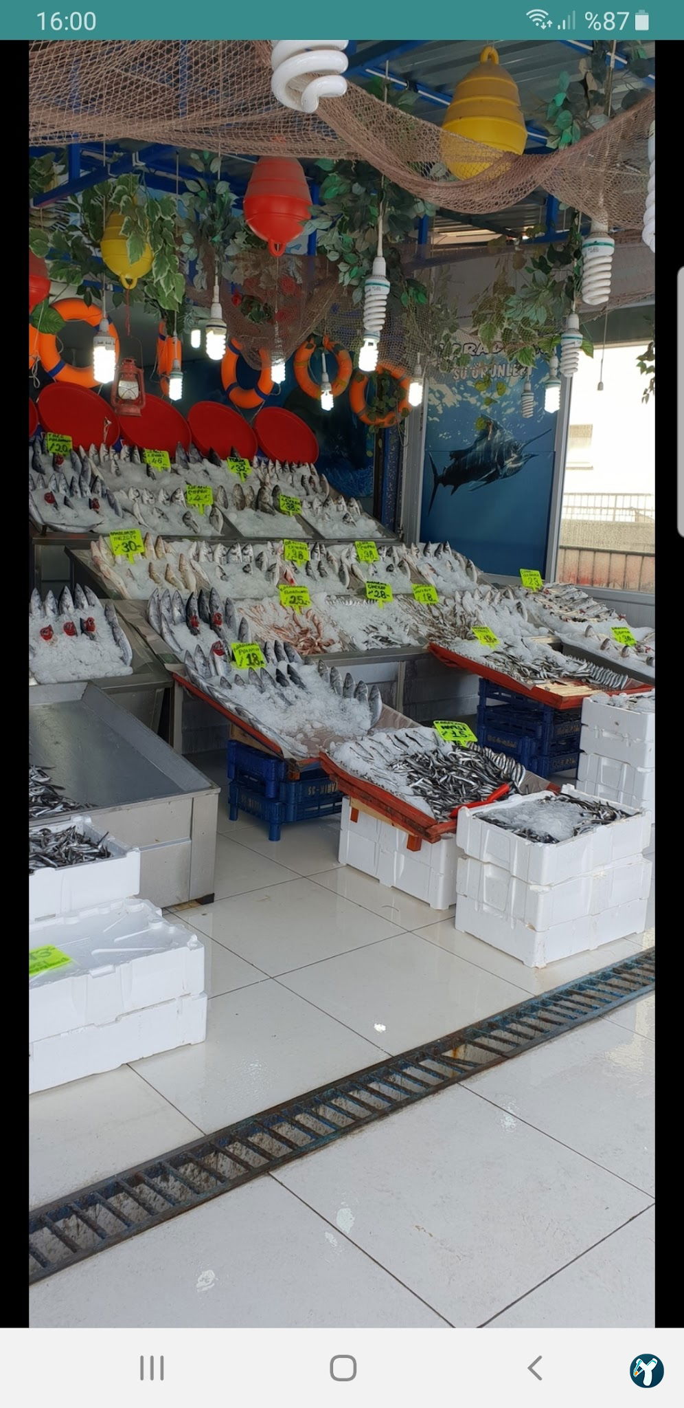 Atapark Ayabakan Balikçilik Ve Bali̇k Lokantasi̇