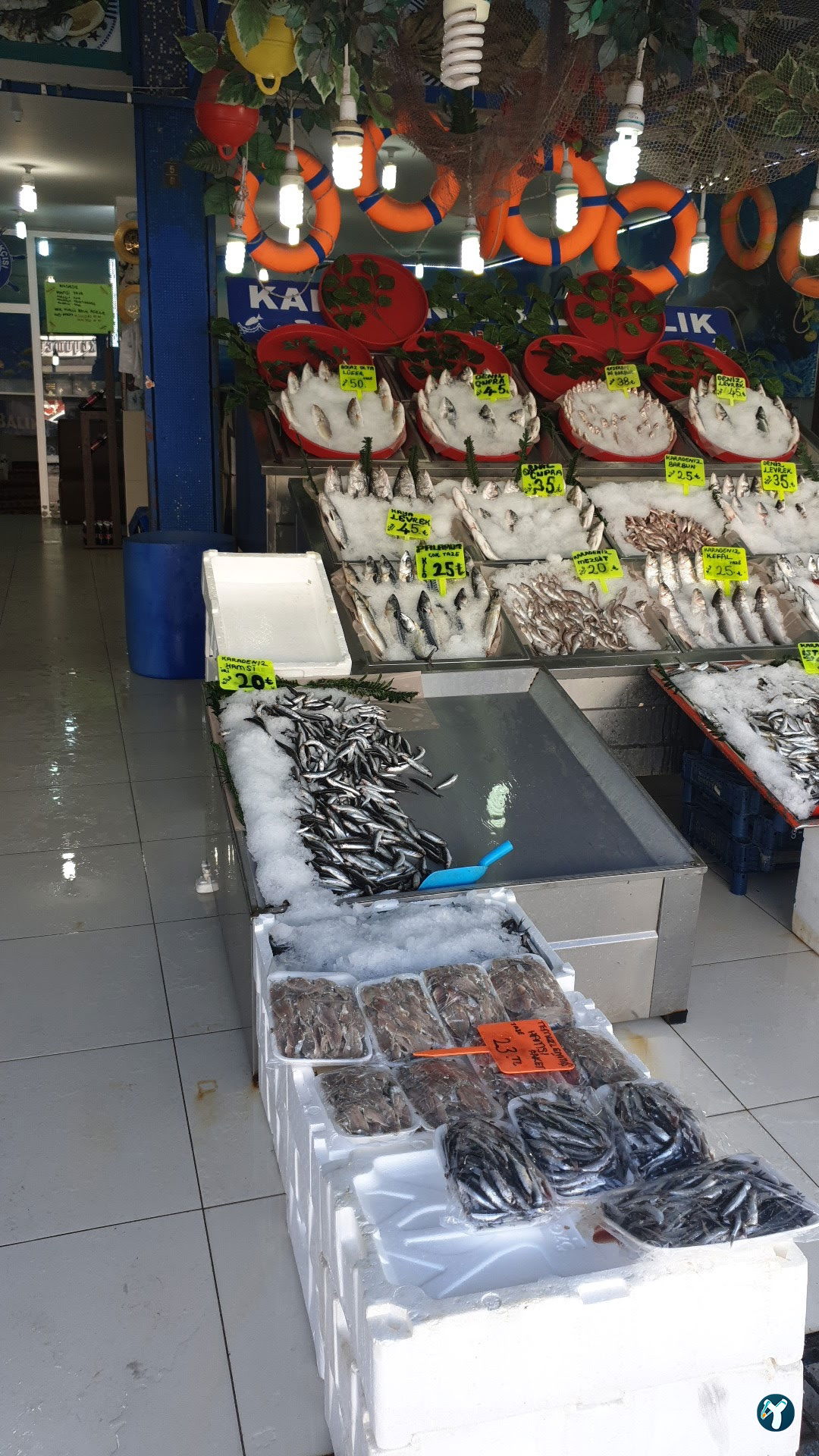 Atapark Ayabakan Balikçilik Ve Bali̇k Lokantasi̇
