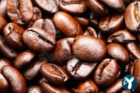 Caffé Latte Koçtaş Yapı Market Kartal(Italian Kahve Markası)