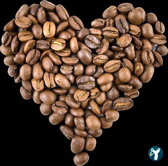 Caffé Latte Koçtaş Yapı Market Kartal(Italian Kahve Markası)