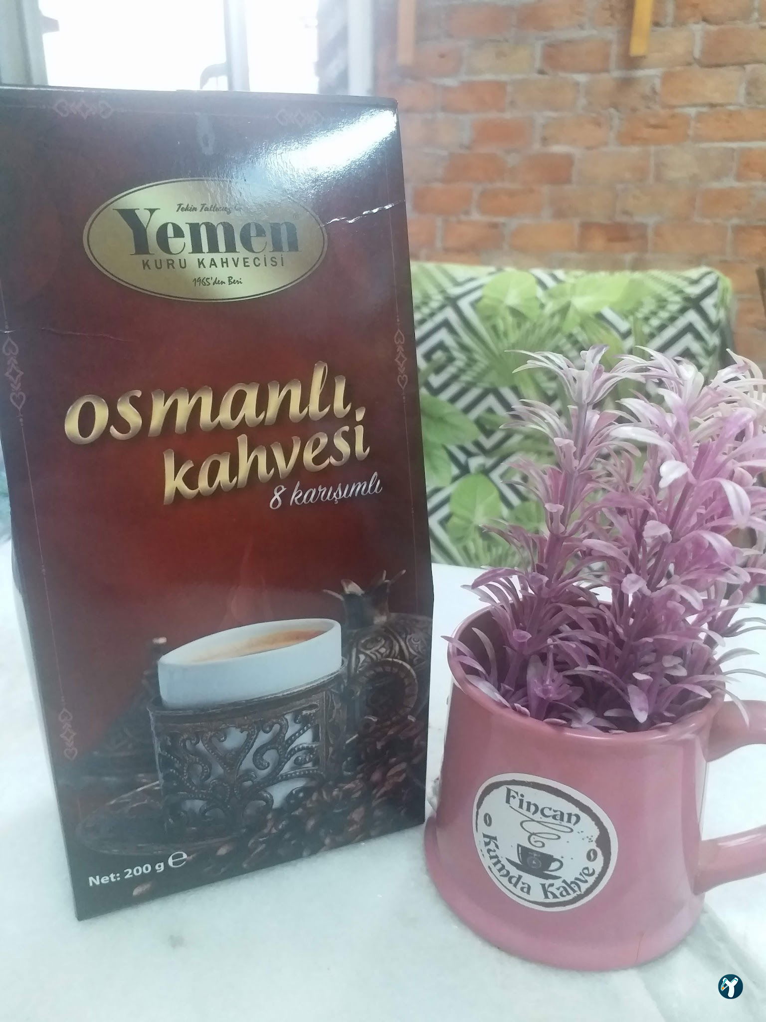 Fincan Kumda Kahve