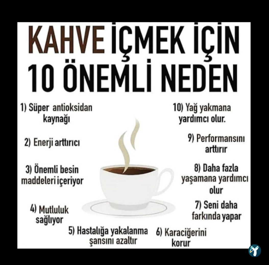 Fincan Kumda Kahve