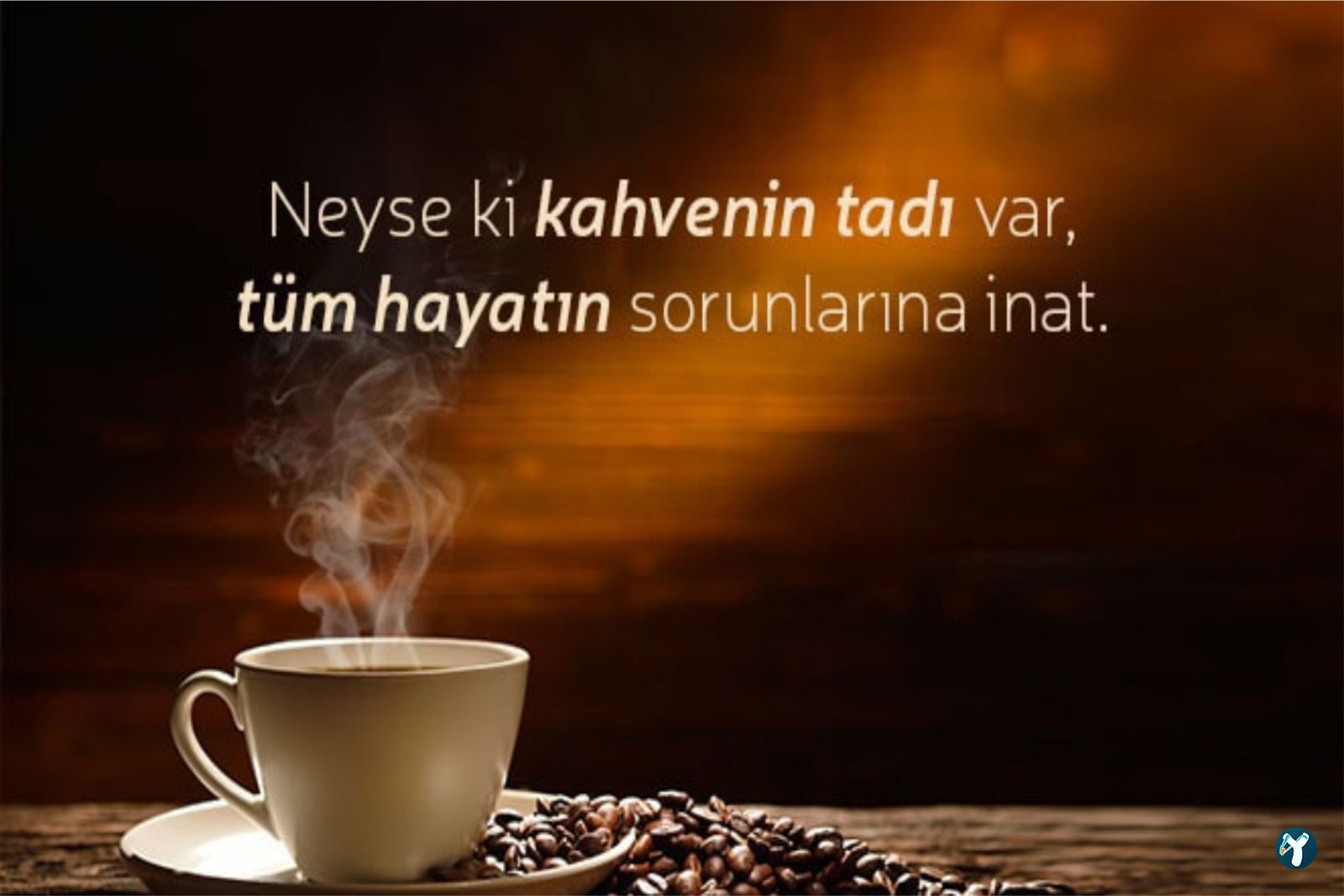 Fincan Kumda Kahve