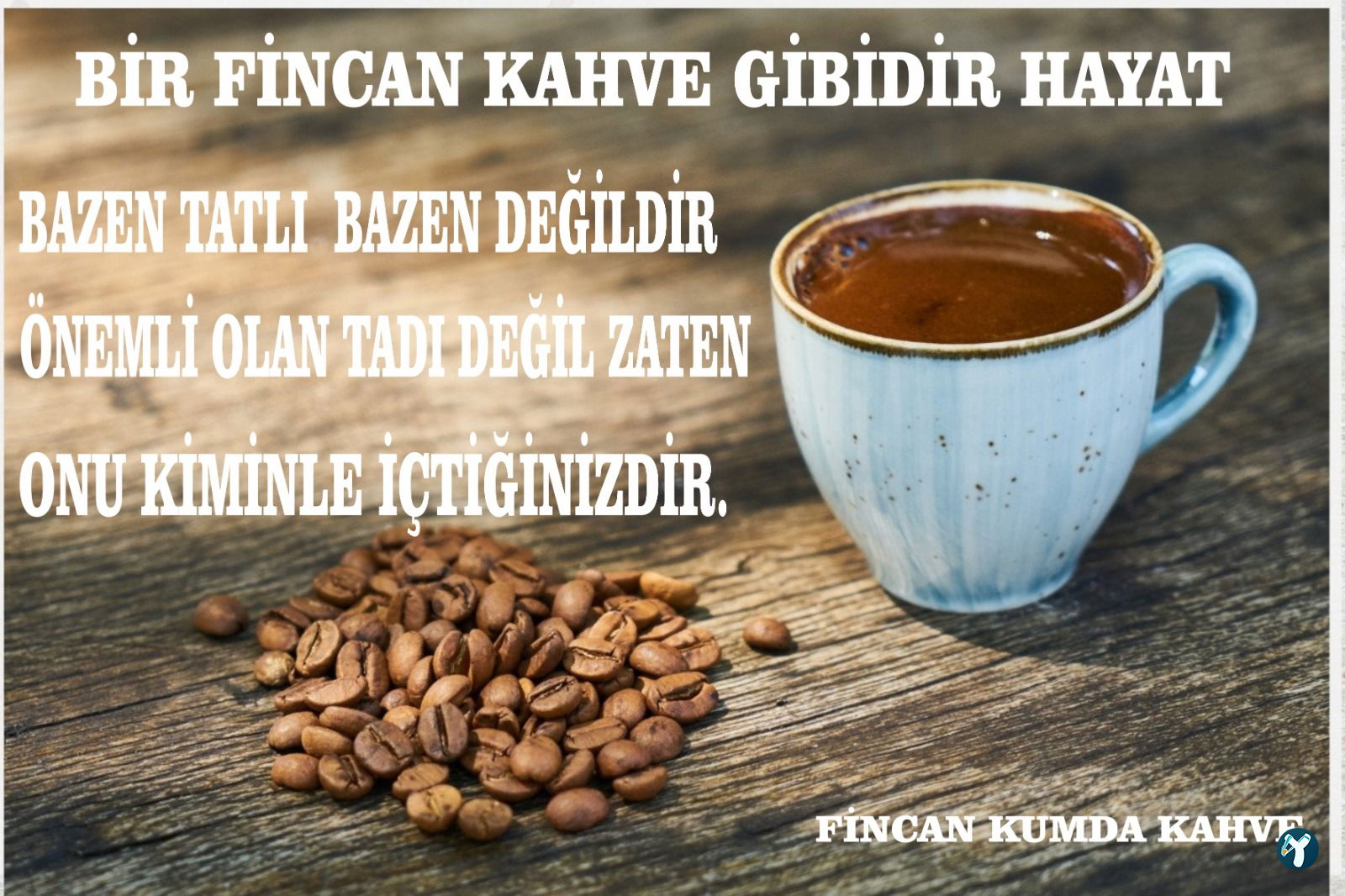 Fincan Kumda Kahve