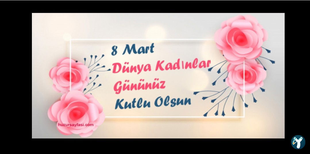 Fincan Kumda Kahve
