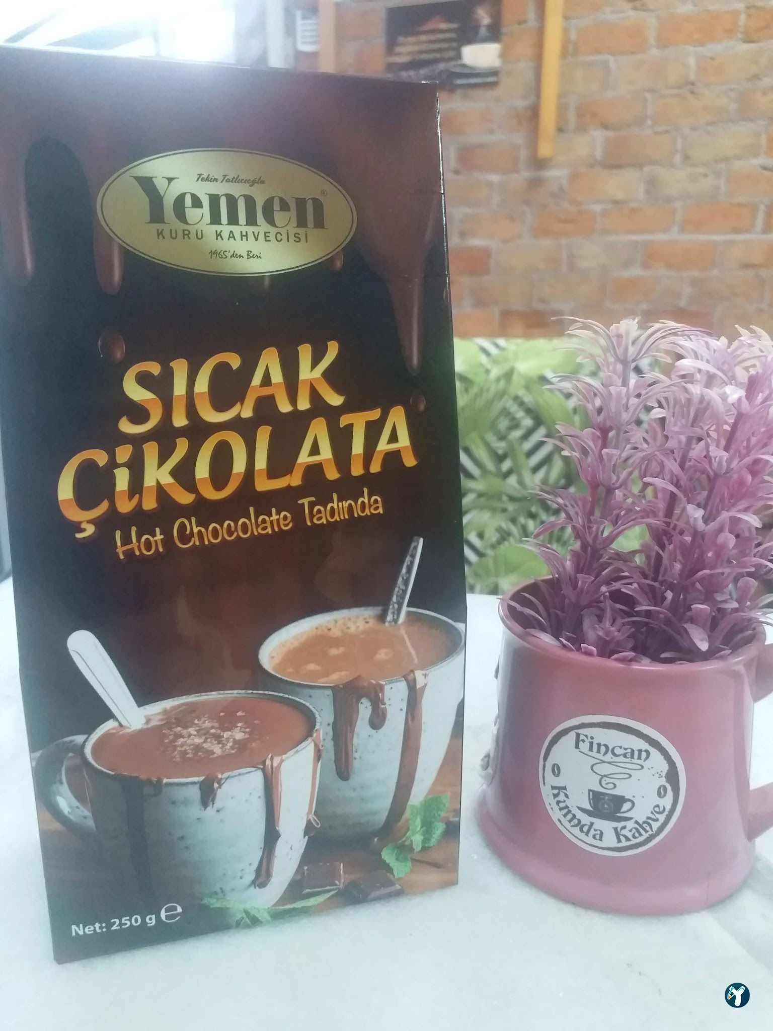 Fincan Kumda Kahve