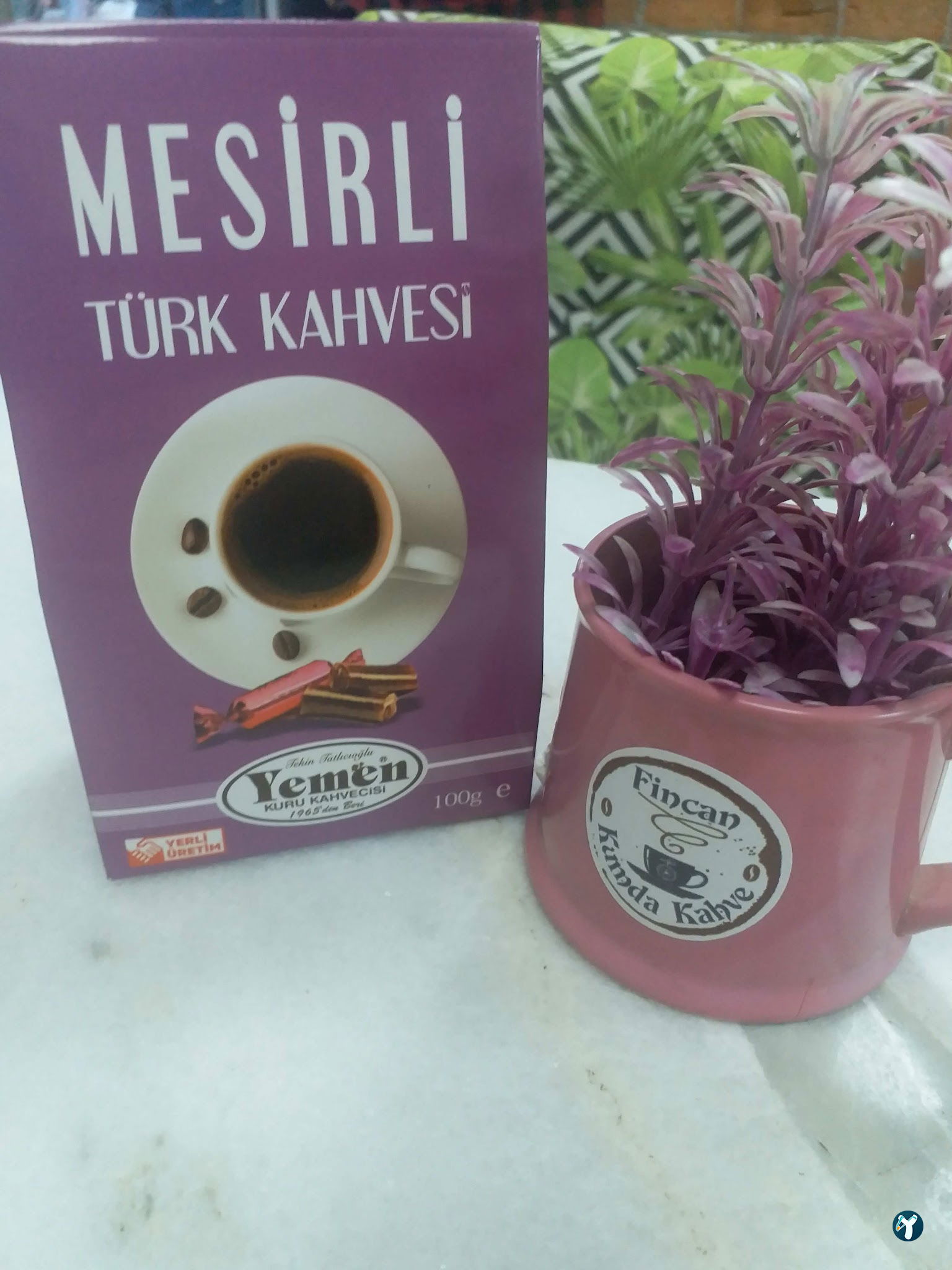Fincan Kumda Kahve
