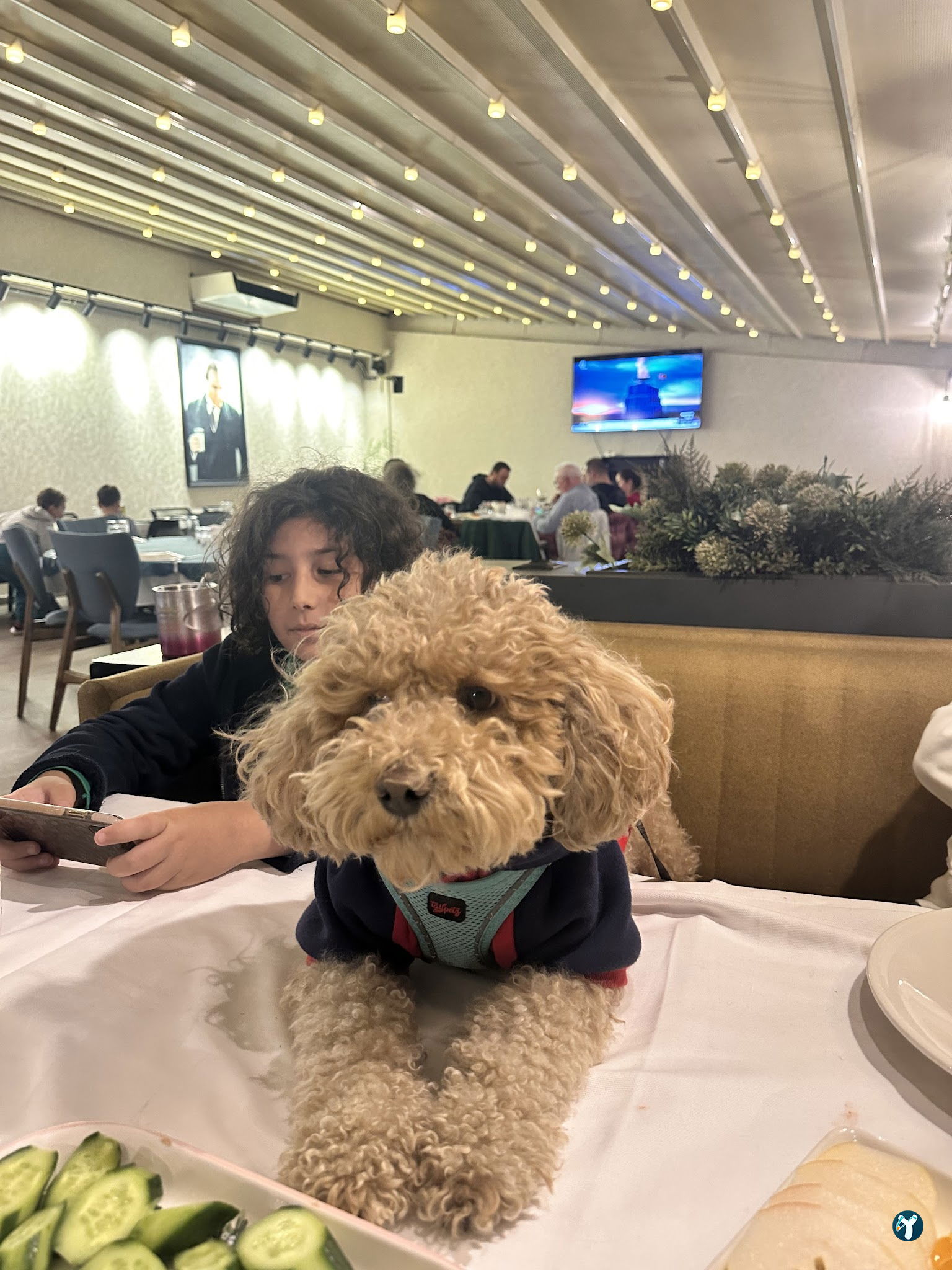Mavişehir Et-Balık Restaurant