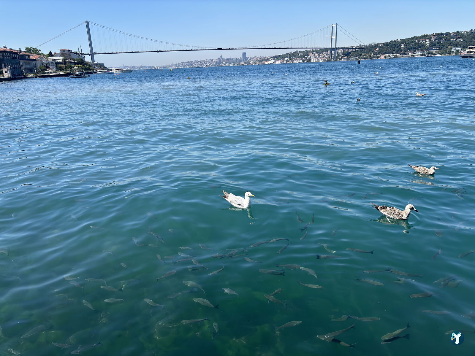 Kai Çengelköy
