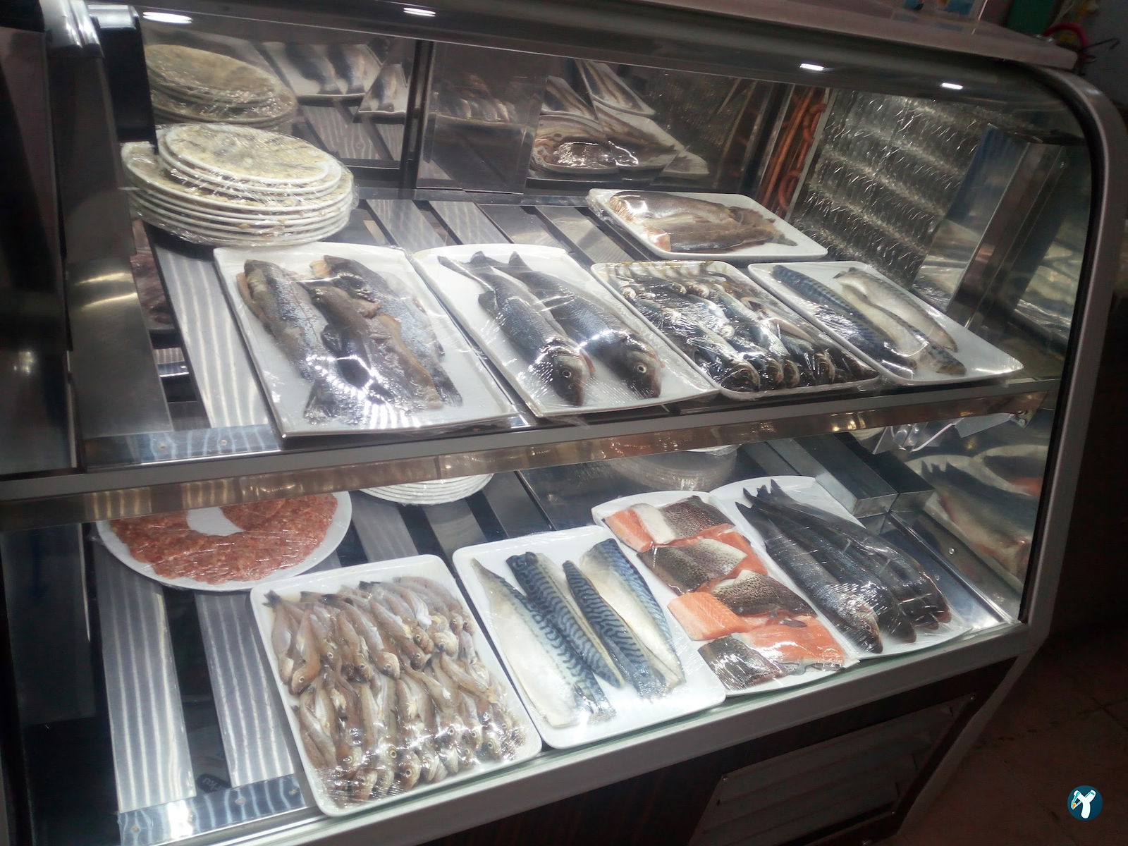 Kuzey Inyildizi Balık Evi