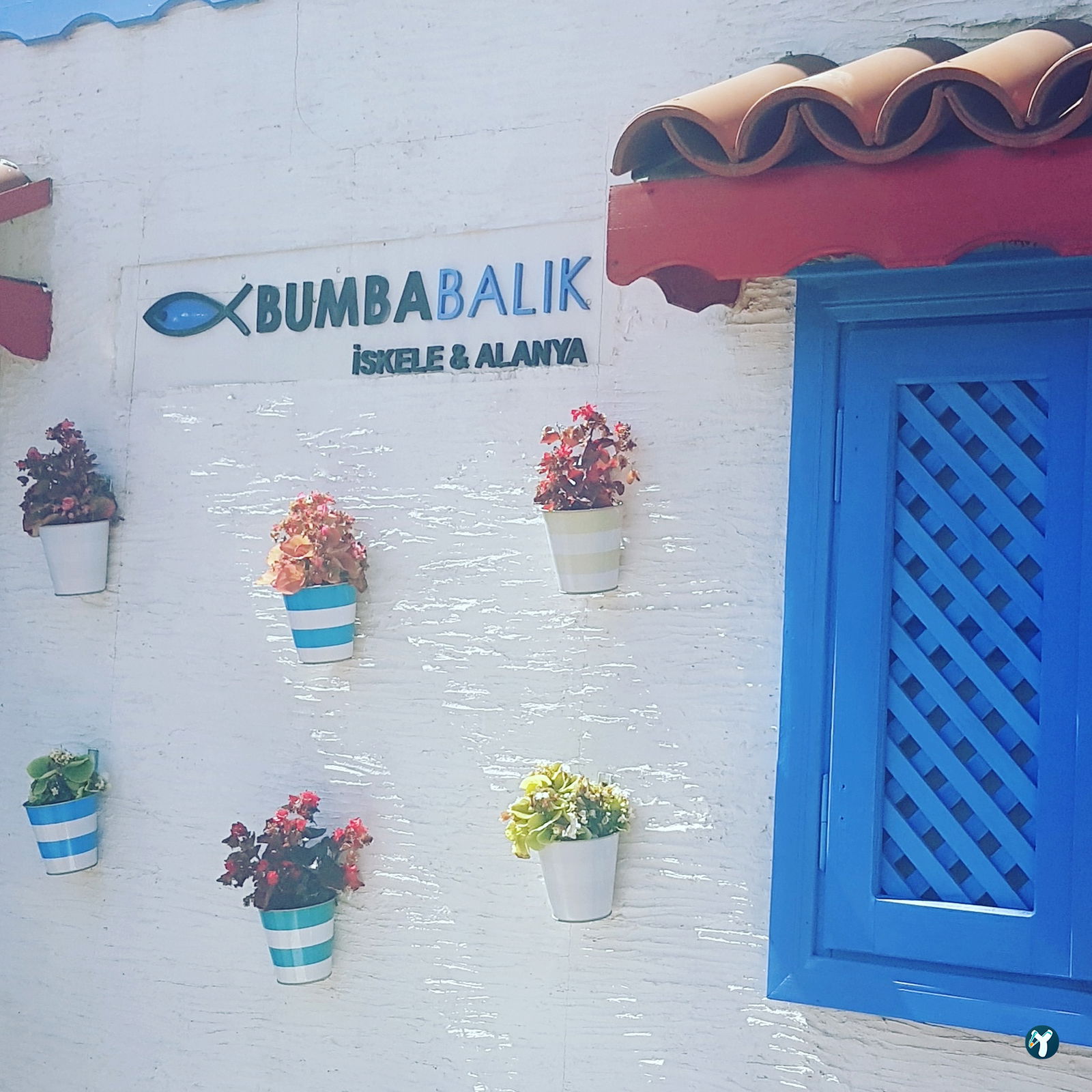 Bumba Restaurant & Bistro