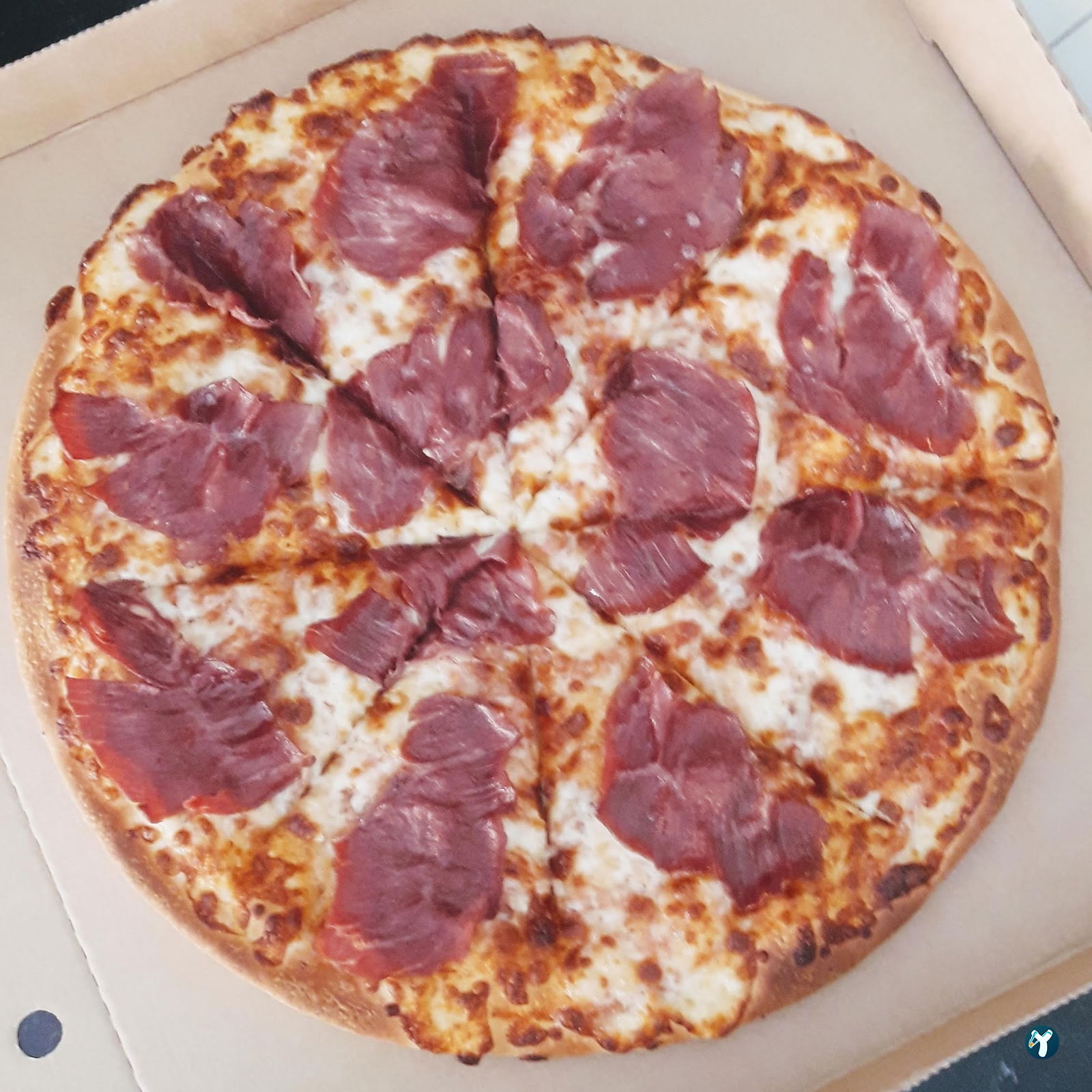 Panino Pizza Uşak Merkez