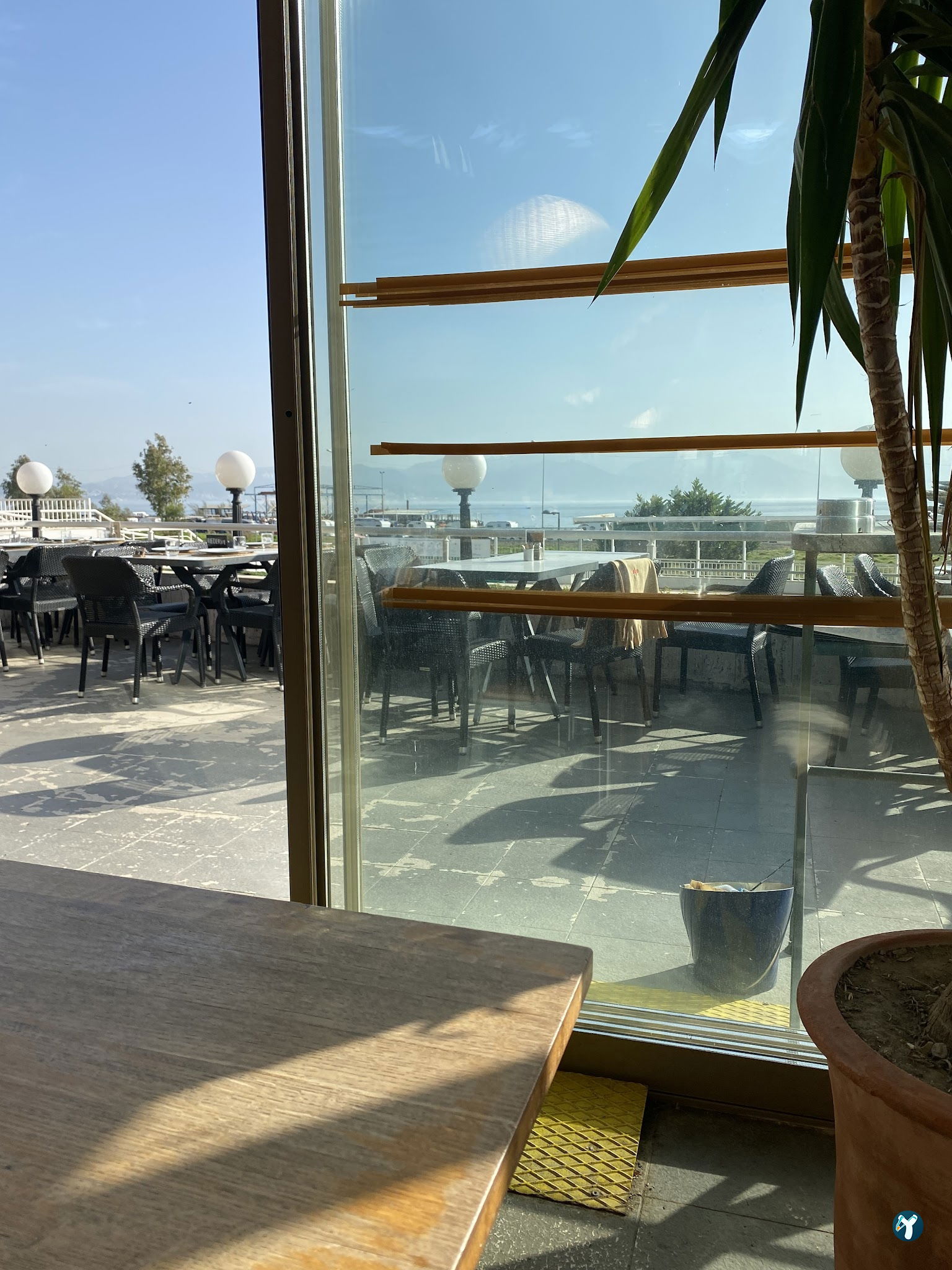 Zaz Cafe