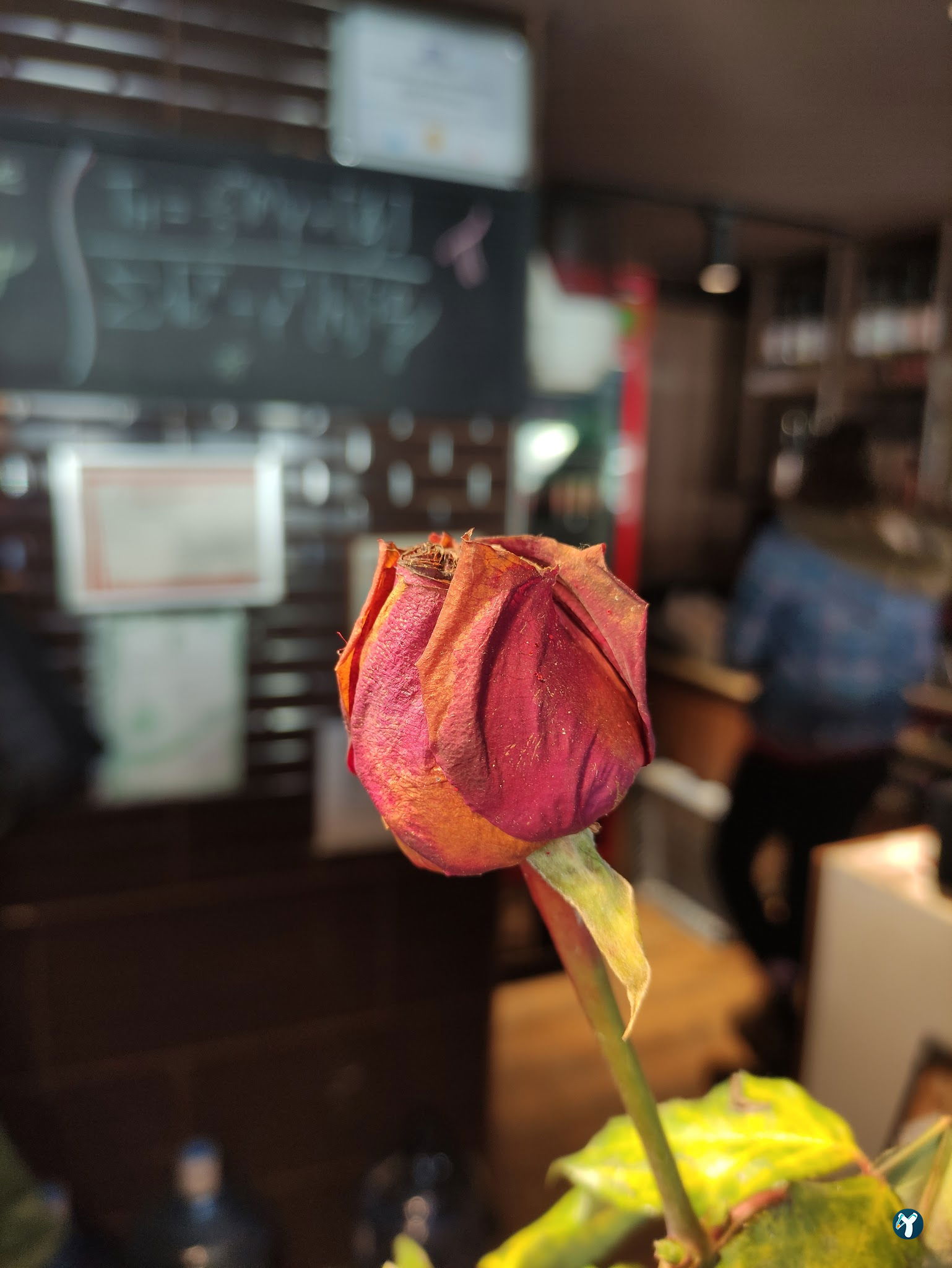 Pi Box Cafe