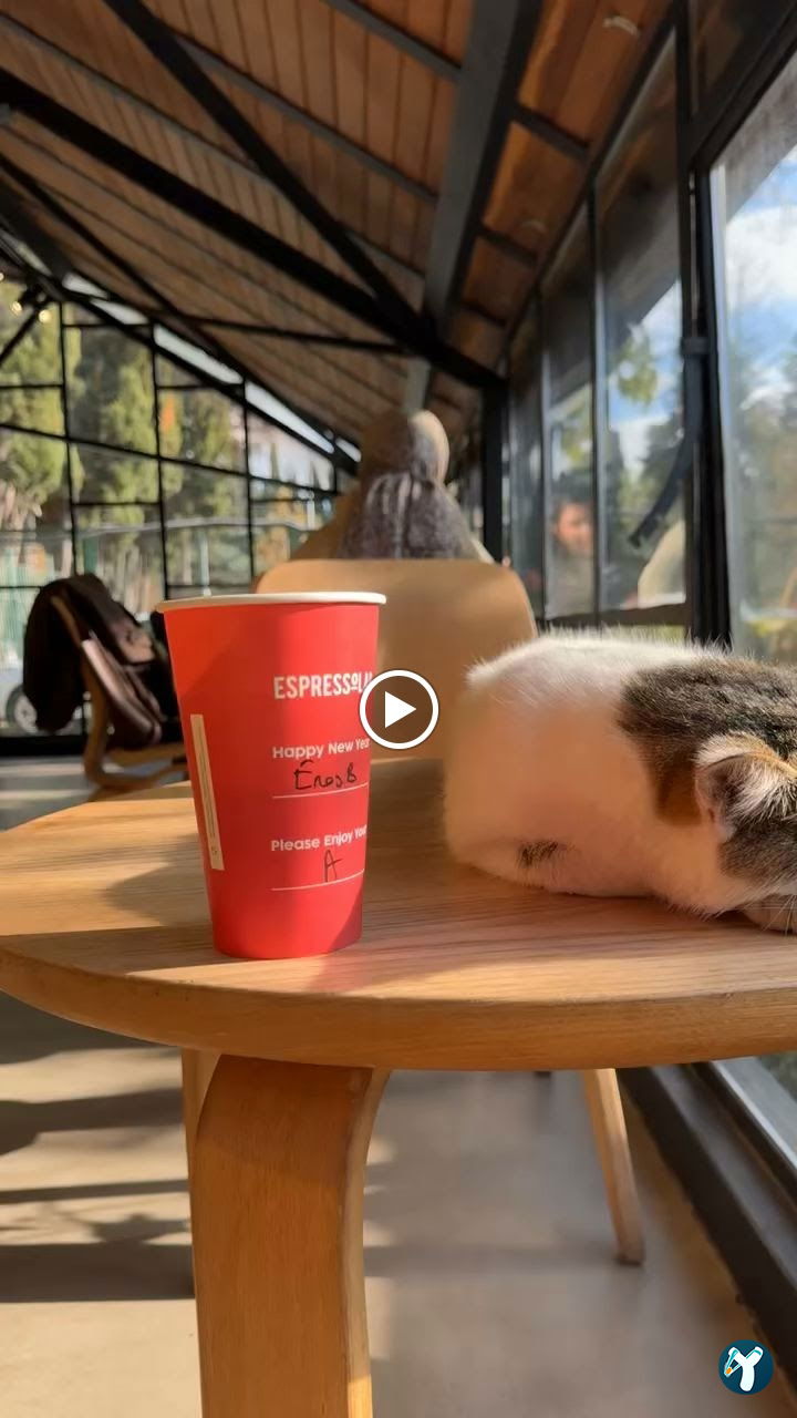 Espressolab Sabahattin Zaim Üniversitesi