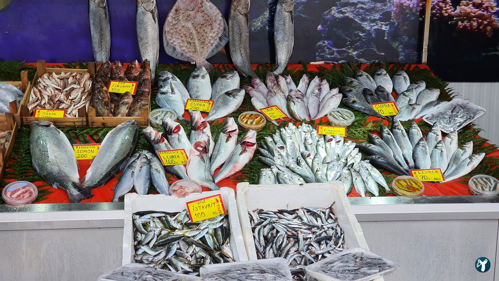 Sıle Balik Ekmek