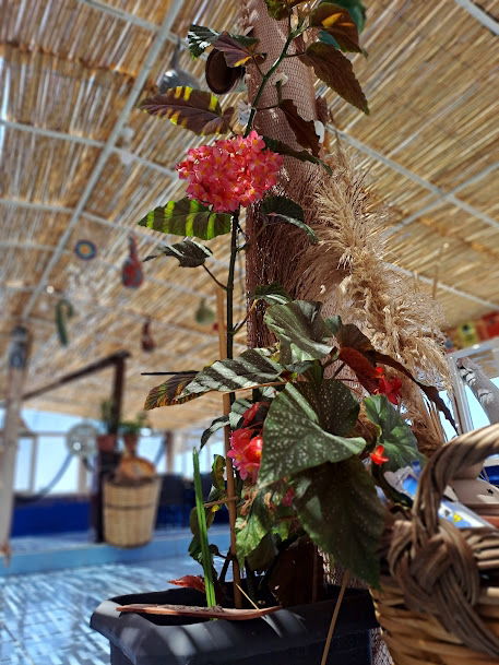 Paki Cafe & Retaurant