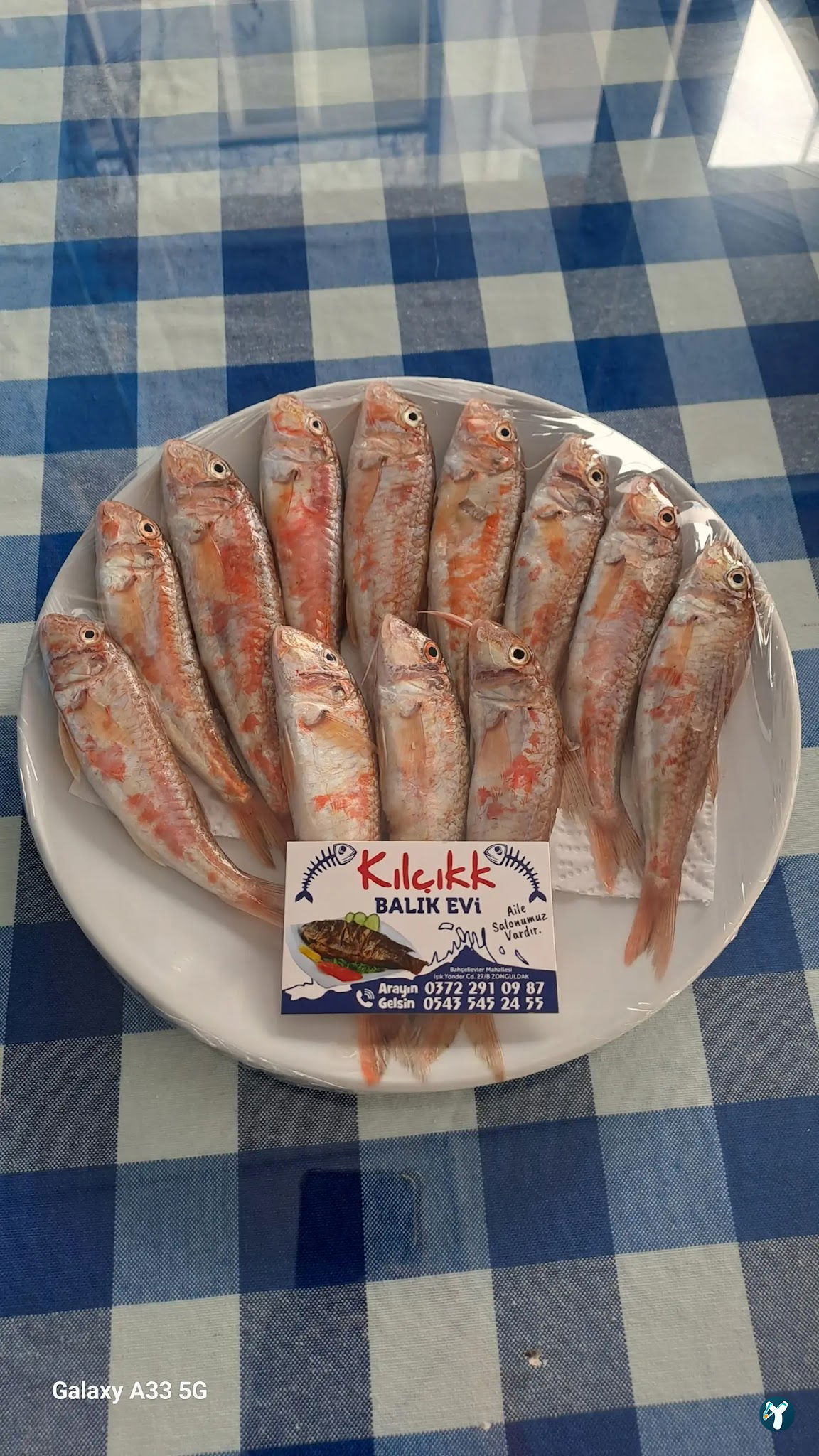 Kilçikk Balik Restaurant (Aytekin Şahin)
