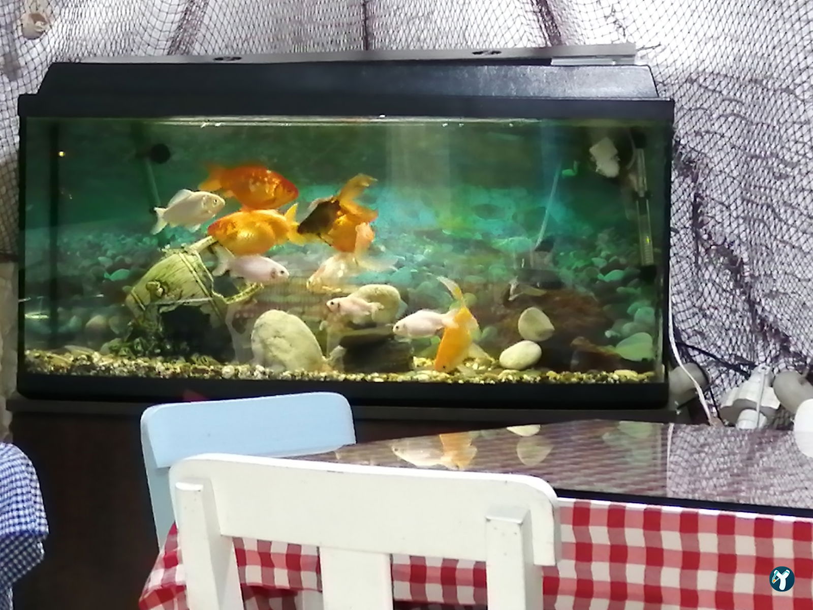 Kilçikk Balik Restaurant (Aytekin Şahin)