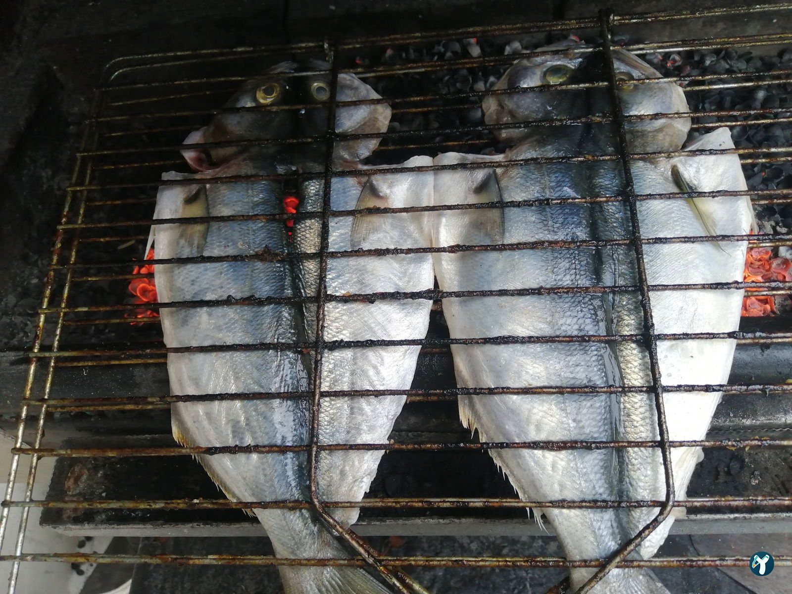 Kilçikk Balik Restaurant (Aytekin Şahin)