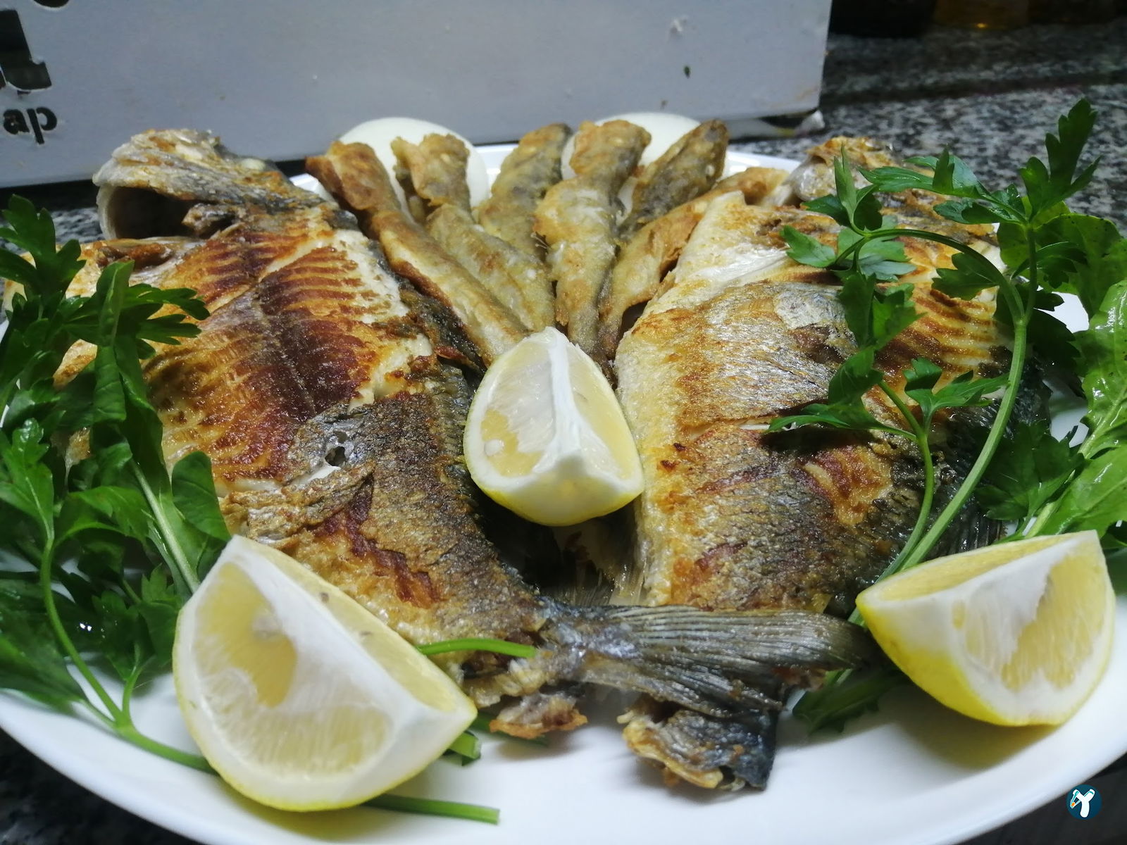 Kilçikk Balik Restaurant (Aytekin Şahin)
