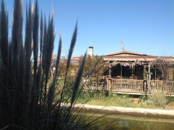 Âlâ Bahçe-Renan Hoşgör