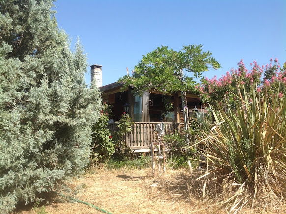 Âlâ Bahçe-Renan Hoşgör