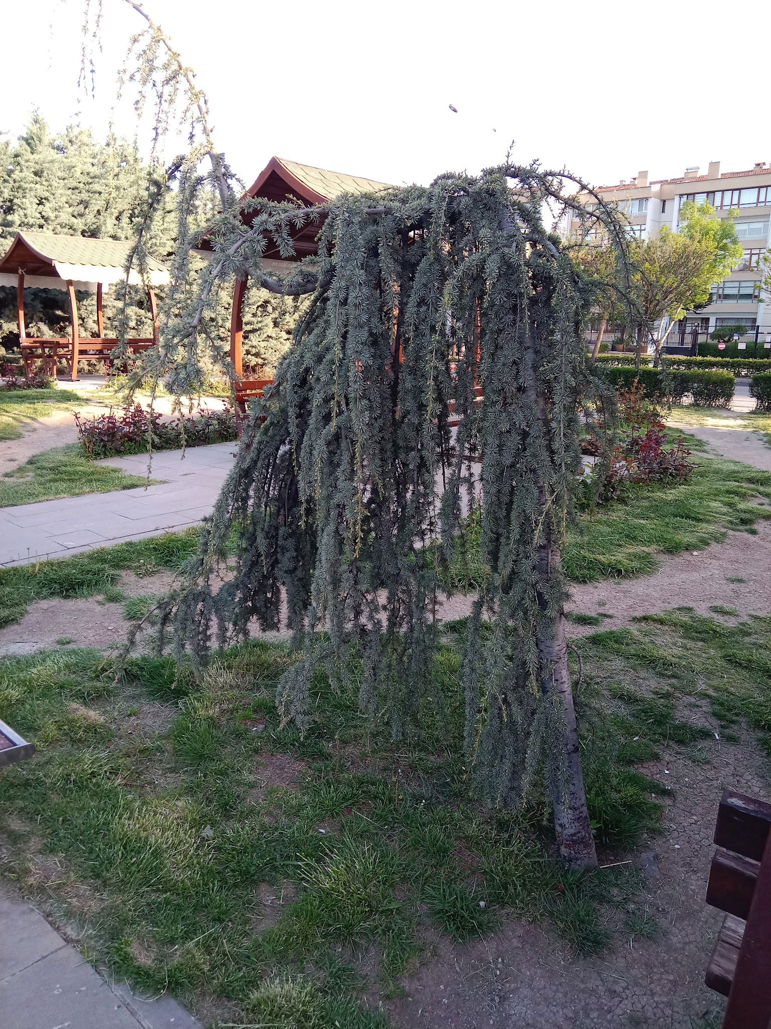 Halk Ekmek Atlantis Cafe