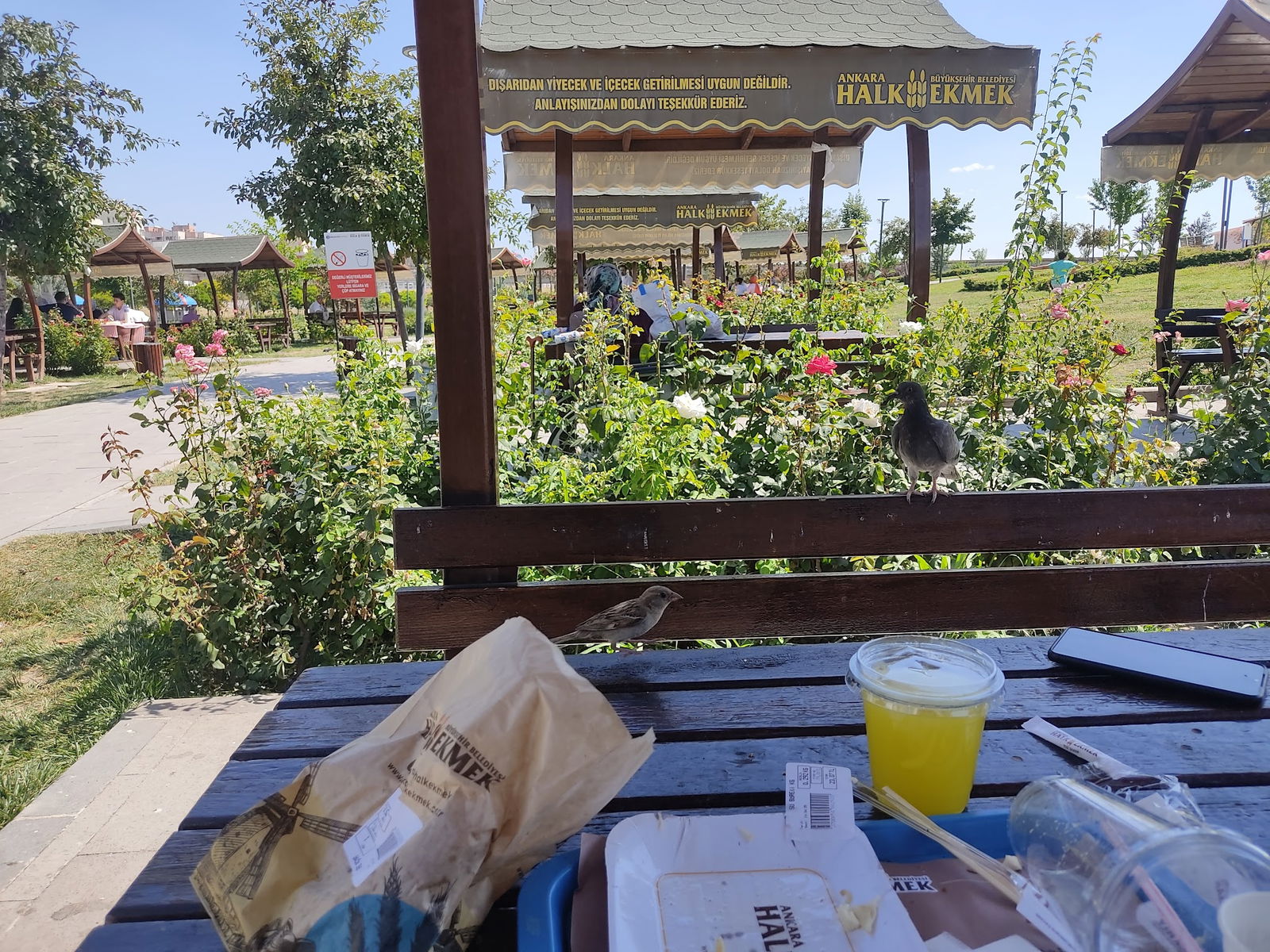 Halk Ekmek Atlantis Cafe