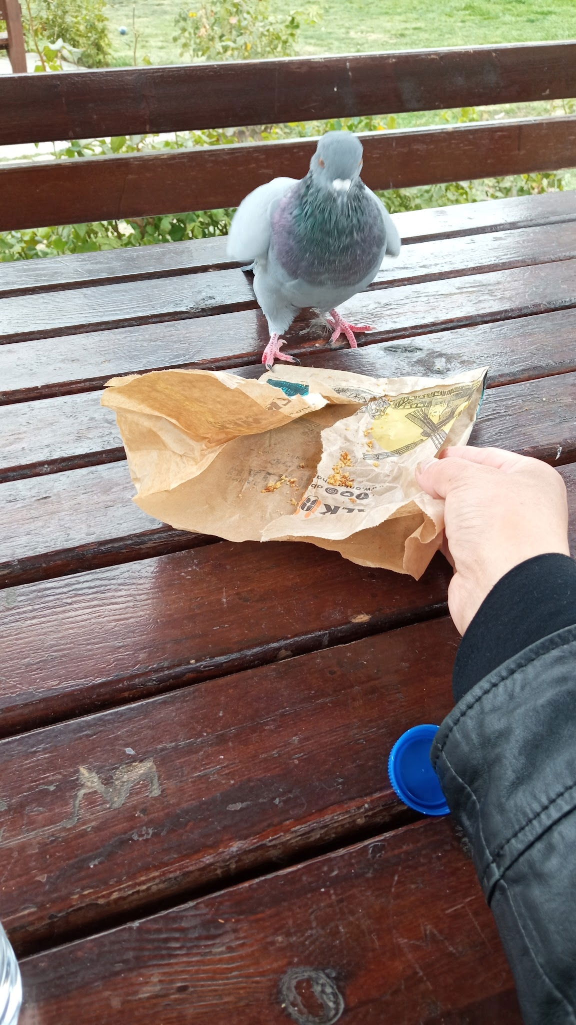 Halk Ekmek Atlantis Cafe