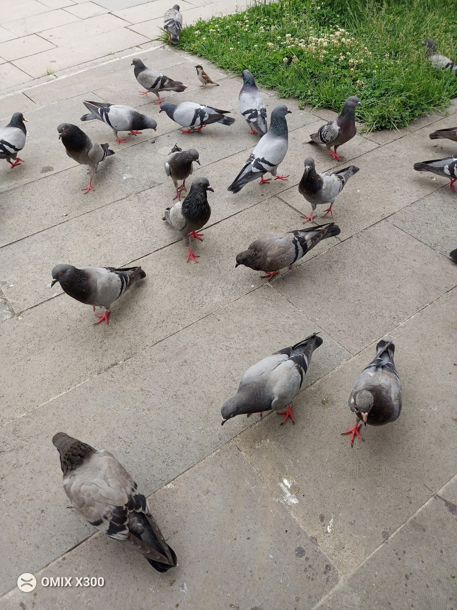 Halk Ekmek Atlantis Cafe