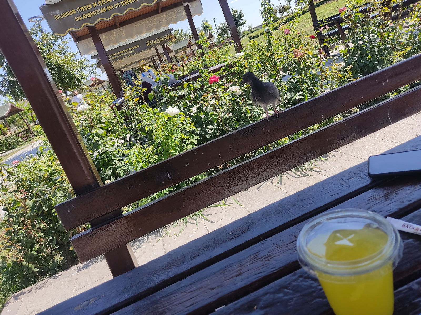 Halk Ekmek Atlantis Cafe